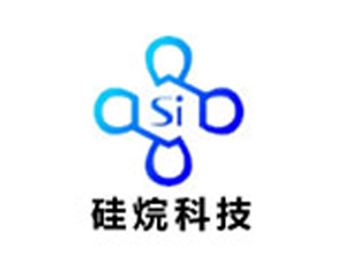 河南硅烷科技發(fā)展有限公司