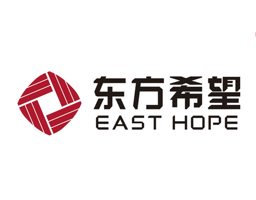 新疆東方希望新能源有限公司