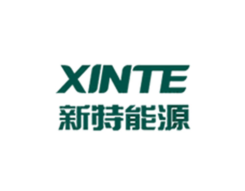 新特能源股份有限公司